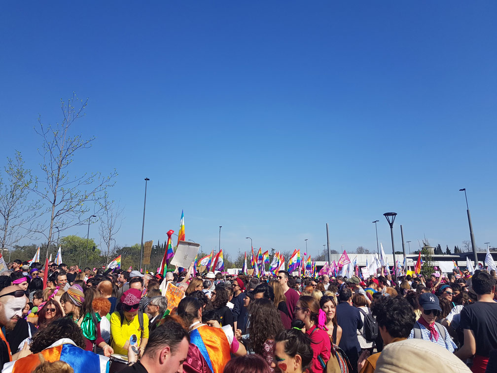 Manifestation transfÃ©ministes VÃ©rone 2019