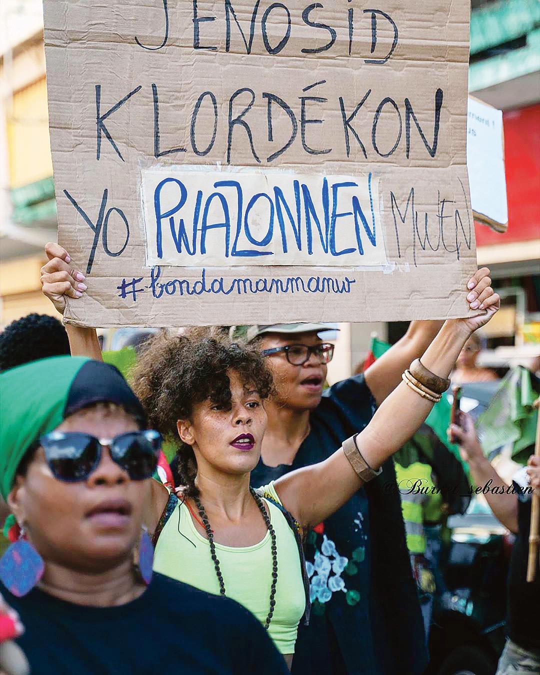 Manifestation anti-chlordécone, Martinique, 2019