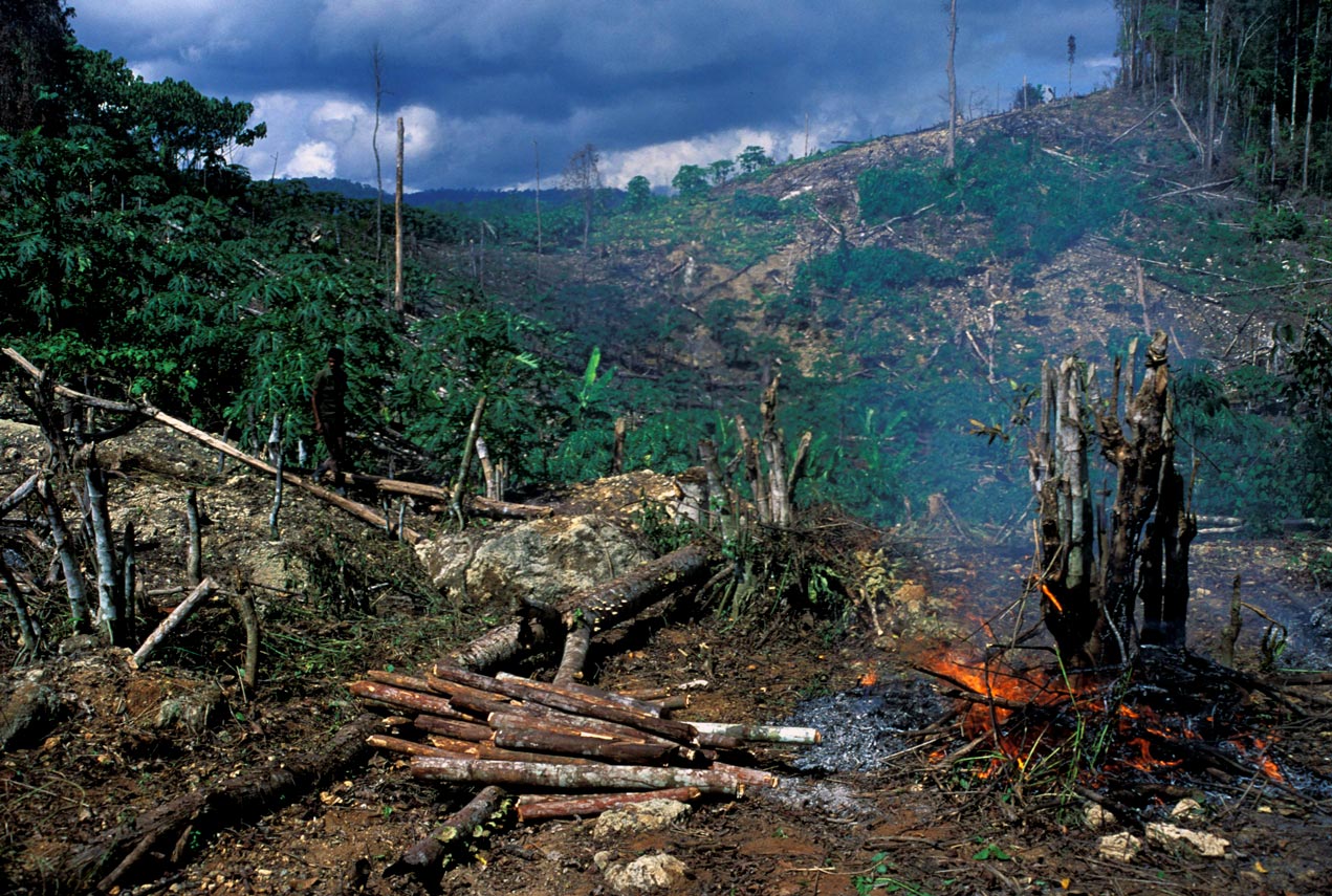 deforestation-indonesie_Curt-Carnemark-World-Bank