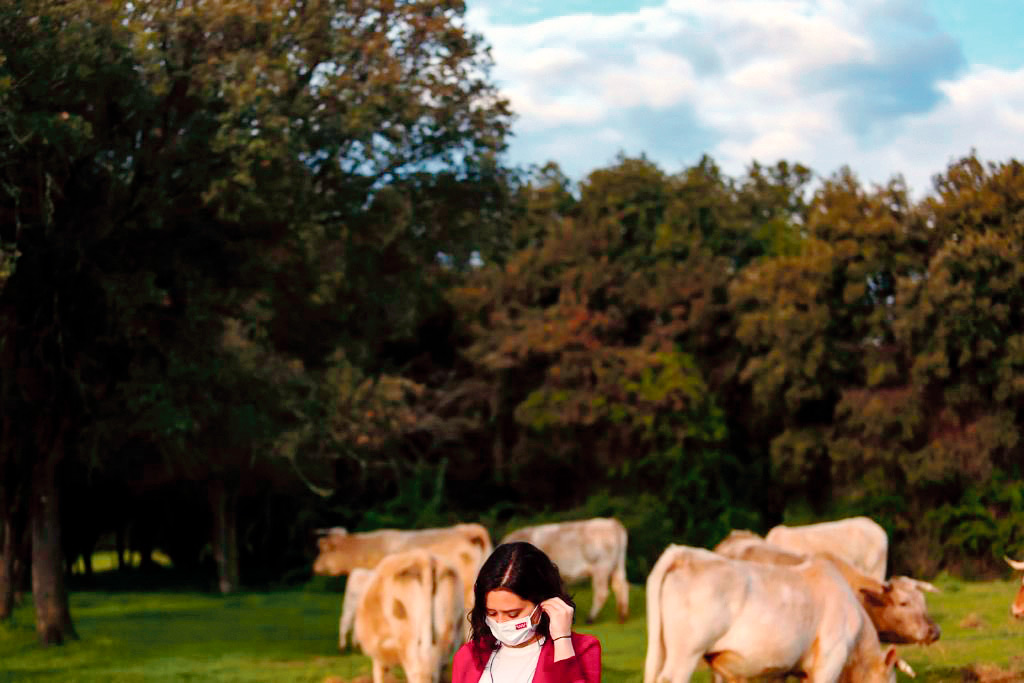 Isabel Díaz Ayuso dans un champ avec des vaches lors de sa campagne électorale 2021