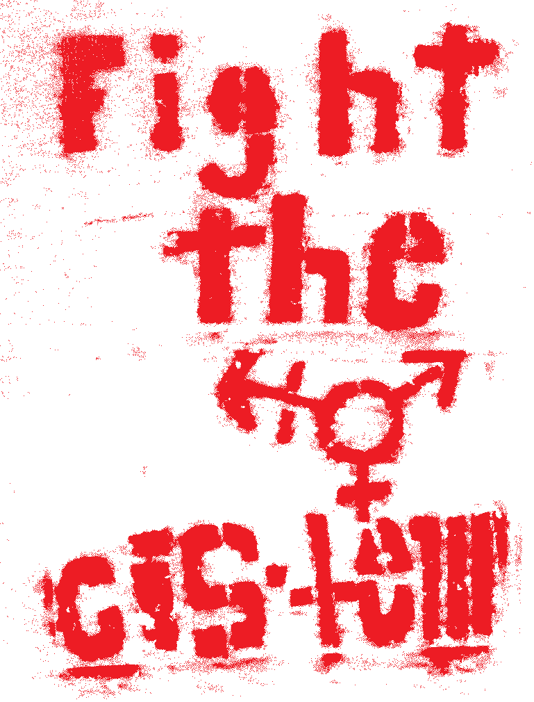 graffiti "fight the cis-tem"