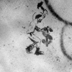 Graffiti représentant un homme qui détruit un signe dollar