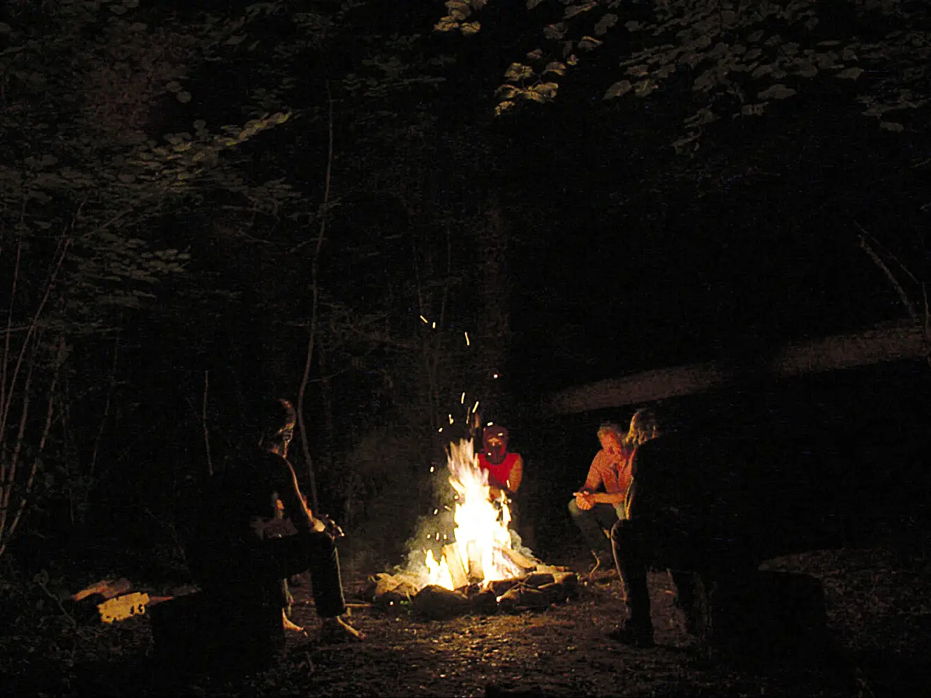 Capture d'écran du film Autour du feu