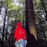 Un activiste climatique dans une forêt