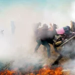 Image promotionnelle du film Le Vivant qui se défend