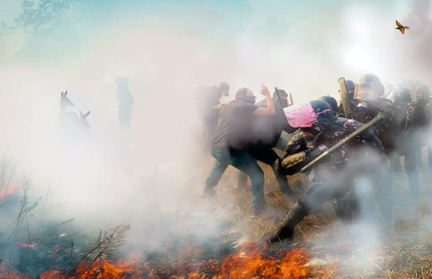 Image promotionnelle du film Le Vivant qui se défend