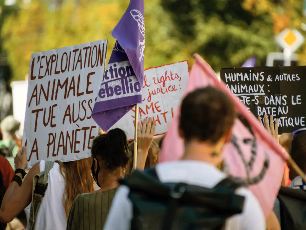 Une banderole “L’exploitation animale tue aussi la planète”